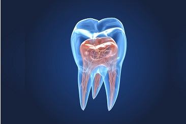 endodontie